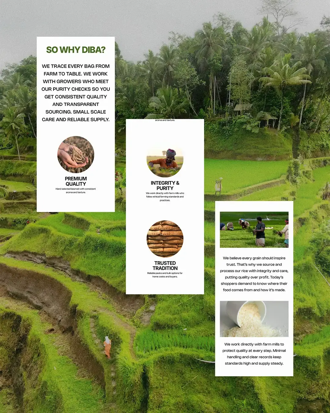 DIBA Foods Mobile Story Page